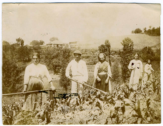 Galician women and men hoeing a smallholding