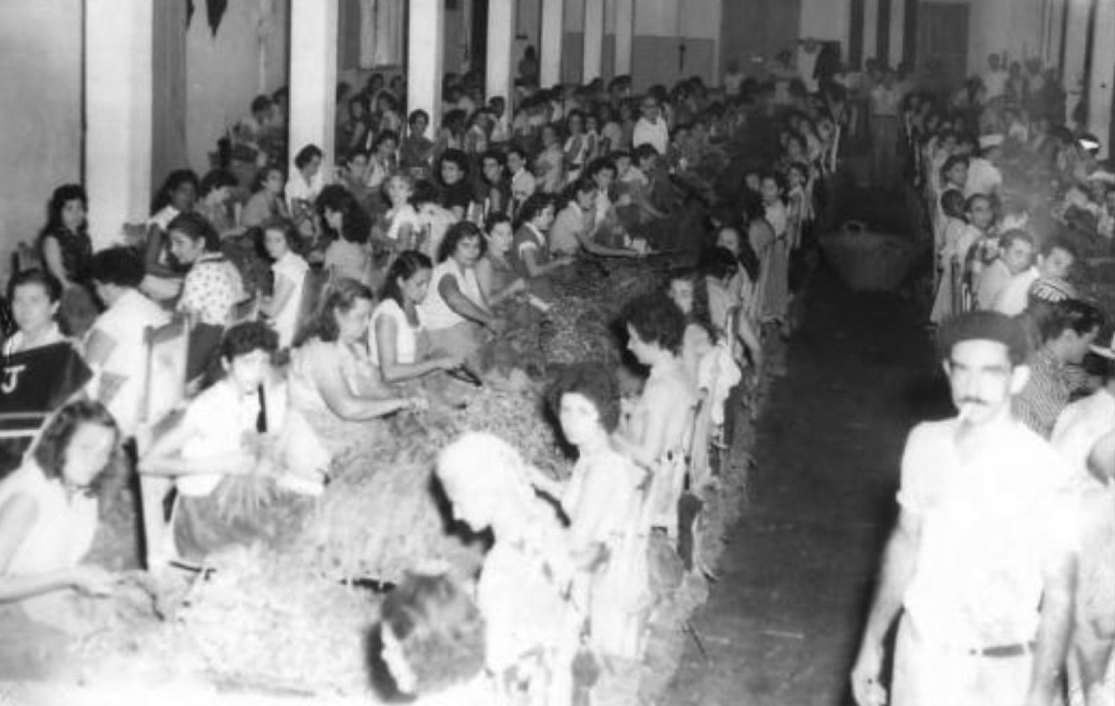 Workers rolling cigars in a Havana tobacco factory